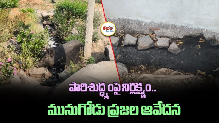 Sanitation Crisis