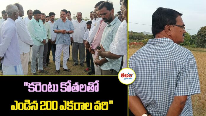 Niranjan Reddy