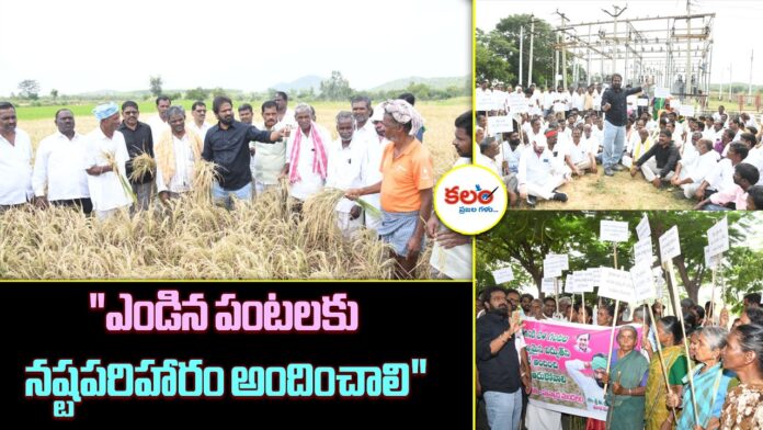 Srinivas Goud