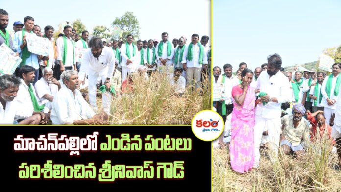 Machanpally