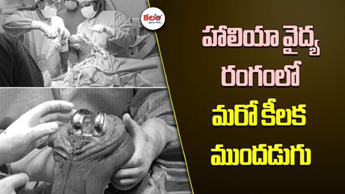 Knee Surgery