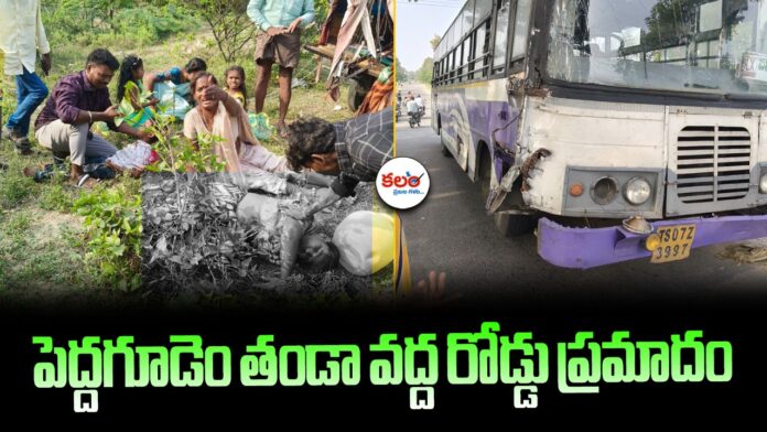 Peddagudem Thanda