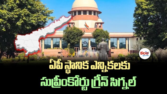 AP Local Body Elections
