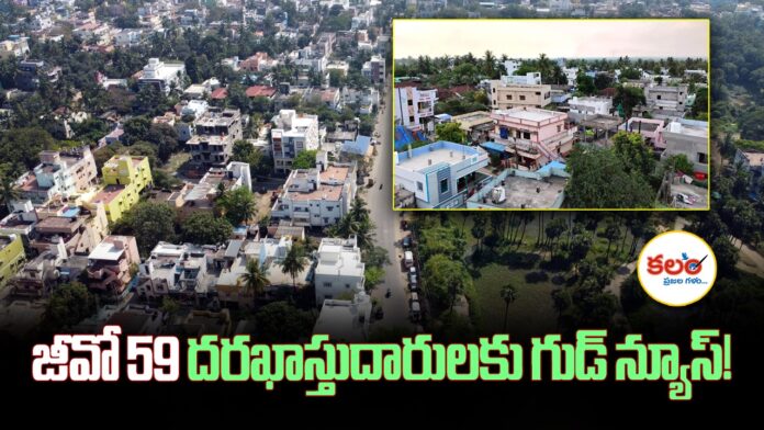 GO 59 Regularisation