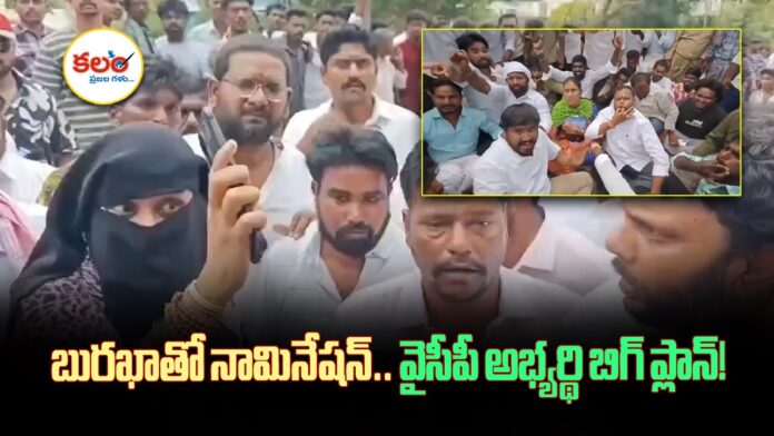 Local Body Elections