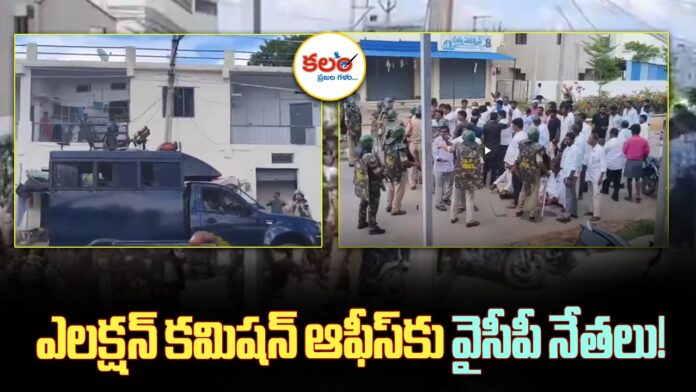 AP Local Elections